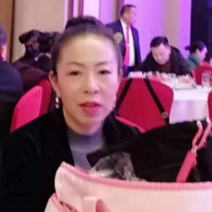 中秋桂花玉兔的第四张照片--成都交友中心